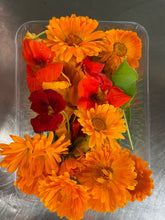 Load image into Gallery viewer, FLOWERS Cosmos *container - ORGANIC (EDEN FARMERS)
